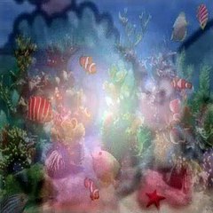 Dora The Explorer S02E26 Quack! Quack!