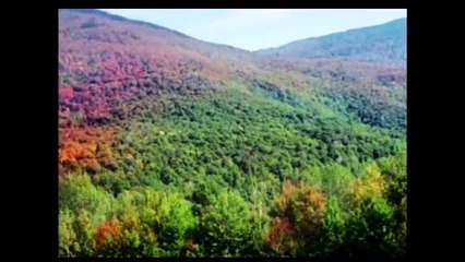 6952 Samstag Auftakt