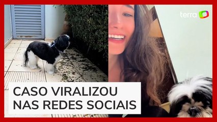 Influencer viraliza ao receber cachorro errado de pet shop: 'Quem é você?'