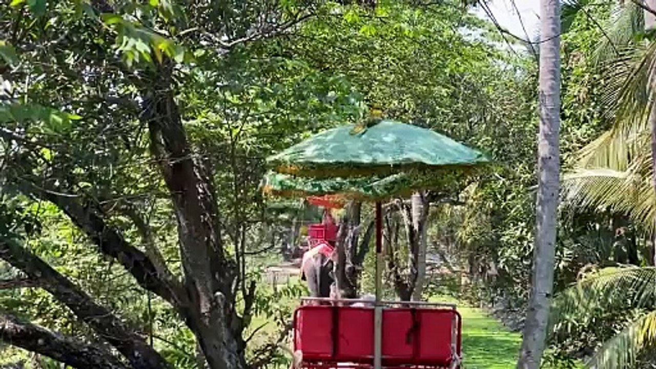 Experience the thrill of elephant riding near Bangkok.