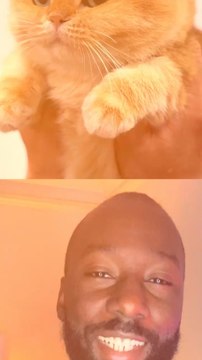 Abonne-toi pour suivre l’actualité positive chaque semaine ! @ Source 1 : Le Monde I source 2 : Sud Ouest I source 3 : Le Huffpost I source 4 : Le Point I source 5 : Lyon Capital