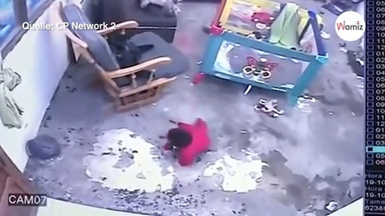 Baby krabbelt zur Treppe: Als die Katze losrennt, halten alle den Atem an!