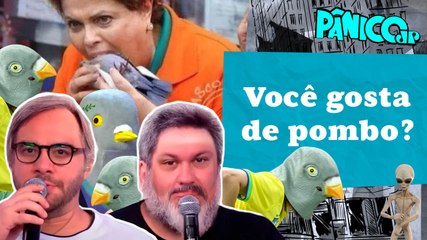 COSTELLA E PROF VILA MANDAM PAPO: POLÍTICO É IGUAL POMBA, NO FINAL SEMPRE VAI DAR UMA C*GADA