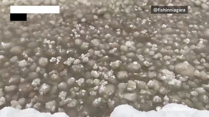 Ice eggs wash ashore