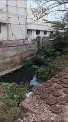 देखो.. 120 फीट का नाला सिकुड़ कर रह गया बीस फीट