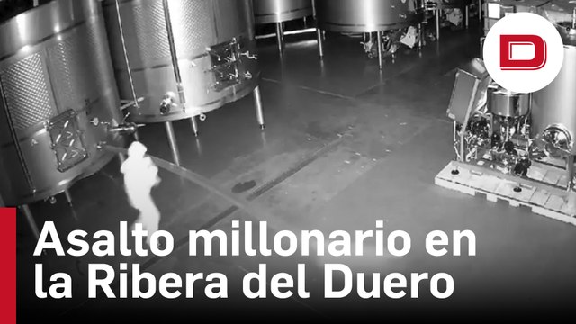 Asalto en la Ribera del Duero: vacían 60.000 litros de vino valorados en 2,5 millones de una famosa bodega