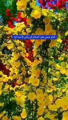 Ik shaks ki mola Hassan ki Shan ma gusstaki or apka ikhlaq