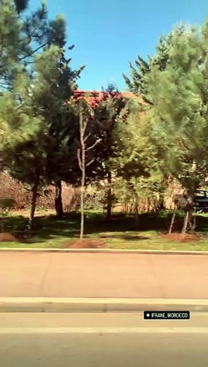 Morocco ifrane