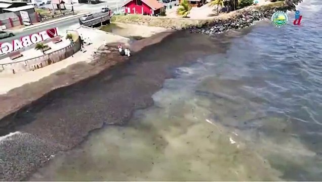 Trinidad e Tobago: cocaína é encontrada em local de naufrágio misterioso