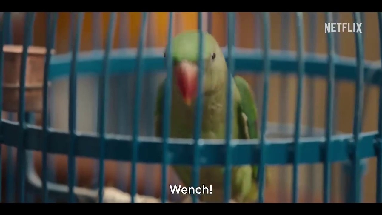 Maamla legal hai new movie/ new Hindi movie 3024/ Bollywood new movie 2024 sa joke