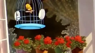 Tom and jerry cartoon full episodes In Italian - Tom and jerry for kids