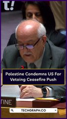 Palestine Condemns US For Vetoing Ceasefire Push