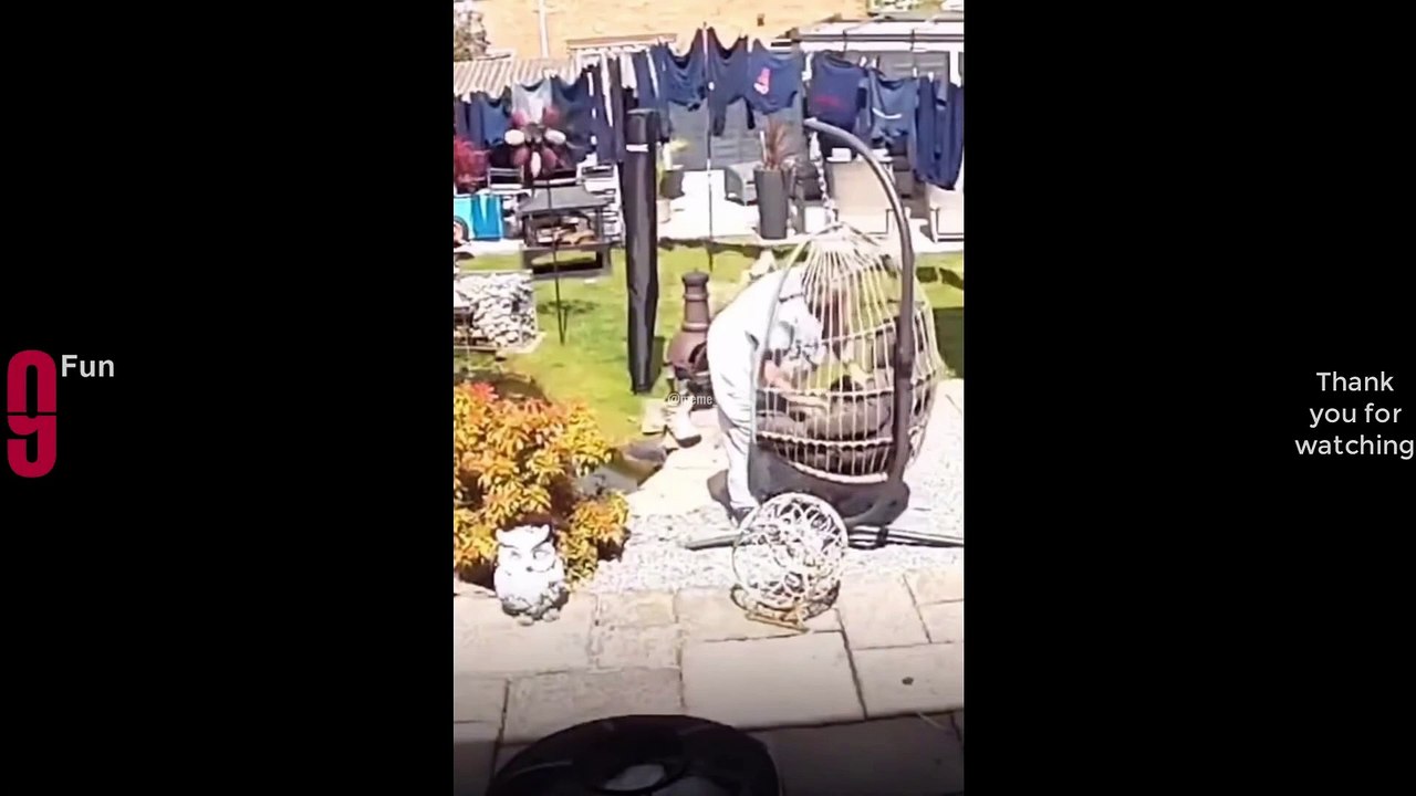 Funny video 2024