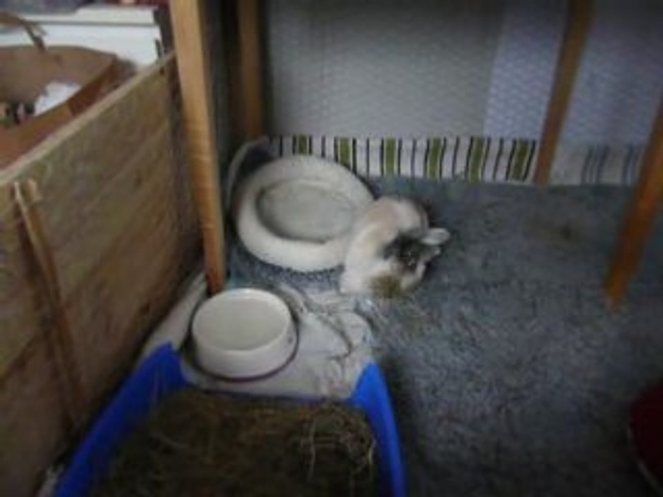 Katy ist langweilig - Teil 3