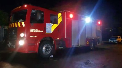 Bombeiros são chamados para corte de árvore que caiu no Bairro Brasília