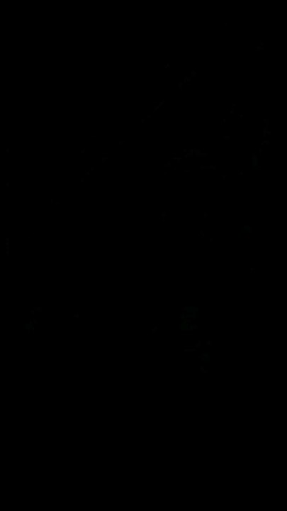 Bad Salzufler Weihnachtstraum