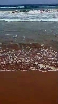 Petite vidéo pour vous relaxé #plage #shorts #maroc #vacances #relaxation