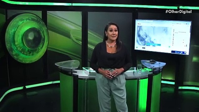 Aquecimento global pode levar ursos polares à extinção