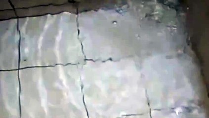 Water as the Source of Life 22