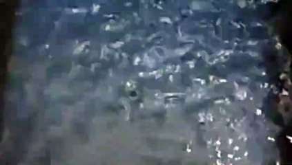 Water as the Source of Life 23