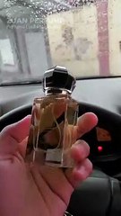 Wangian Lelaki Maskulin