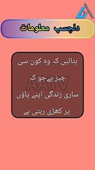Urdu_Paheliyan | Paheliyan | funny Paheliyan | Paheliyan In Urdu Hindi