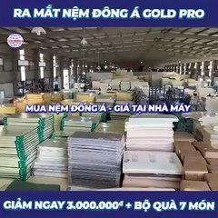 nệm đông á gold pro