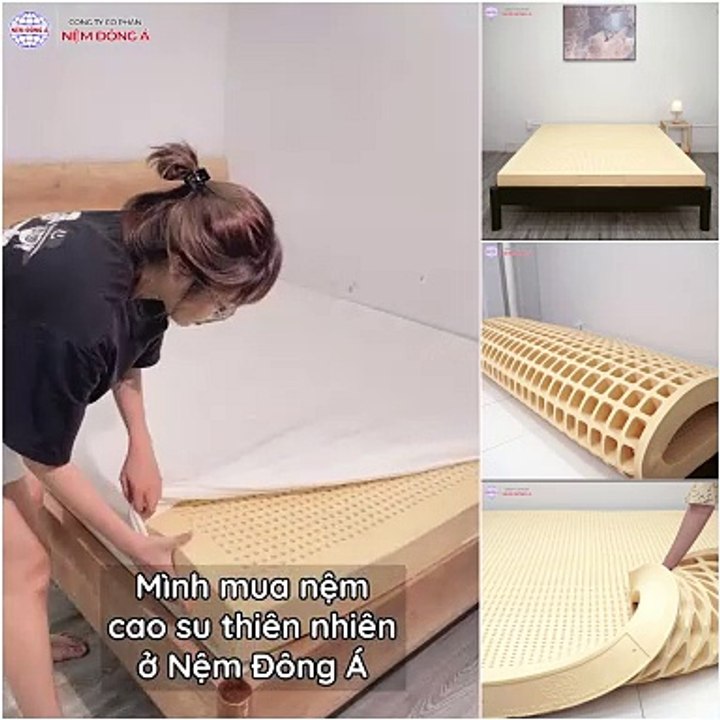VIDEO CAO SU THIÊN NHIÊN ĐÔNG Á