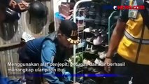 Petugas Damkar Evakuasi Ular Piton Sepanjang 1 Meter di Bawah Mesin Cuci Warga