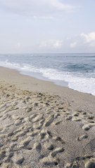 صباح الخير يا احلى متابعين