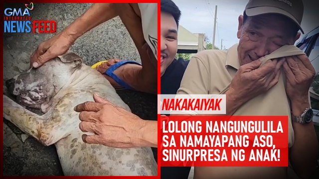 Lolong nangungulila sa namayapang aso, sinurpresa ng anak! | GMA Integrated Newsfeed