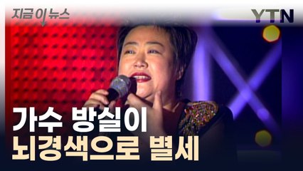 '서울 탱고' 부른 가수 방실이 뇌경색으로 별세 [지금이뉴스]  / YTN