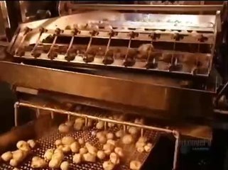 How Potato Chips Are Made..Did You Know #shorts #shortsvideo #video #viral #innovationhub