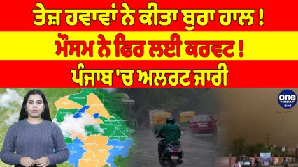 ਤੇਜ਼ ਹਵਾਵਾਂ ਨੇ ਕੀਤਾ ਬੁਰਾ ਹਾਲ! ਮੌਸਮ ਨੇ ਫਿਰ ਲਈ ਕਰਵਟ! ਪੰਜਾਬ 'ਚ ਅਲਰਟ ਜਾਰੀ |OneIndia Punjabi