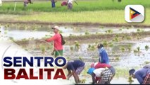 PBBM,  inatasan ang iba't ibang ahensiya ng gobyerno na magtipid sa tubig at kuryente; publiko, pinag-iingat sa heat stroke at skin diseases