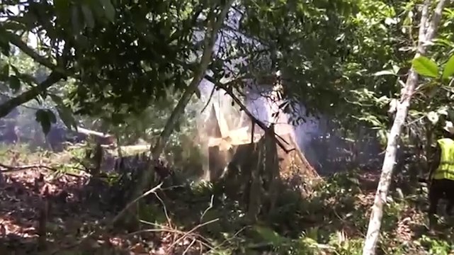 La Côte d’Ivoire et l’UE signent un accord pour lutter contre l’exploitation forestière illégale