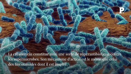 Découverte d’un superantibiotique contre les bactéries tueuses