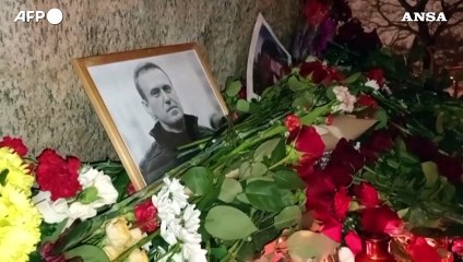 "Alexei ucciso da Putin col Novichok, io la sua erede"