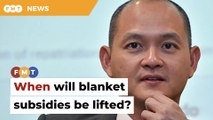 Give timeframe for lifting blanket subsidies, Kian Ming tells govt