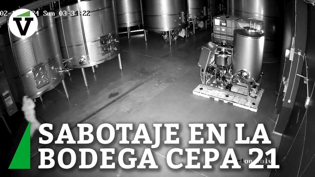 Sabotaje en la bodega Cepa 21: vacían 60.000 litros de vino valorados en 2,5 millones de euros