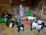 Woman quits job and becomes animal healer