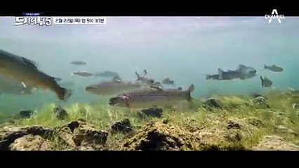 [예고] 우당탕탕 얼음 송어 낚시! 동현은 과연 송어를 잡을 수 있을까?