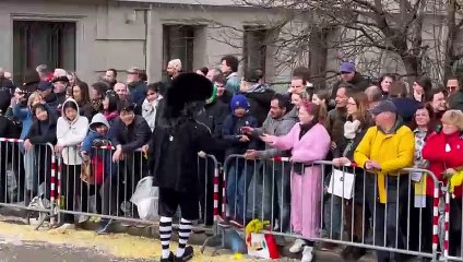 Extrait du cortège au carnaval de Bâle 3