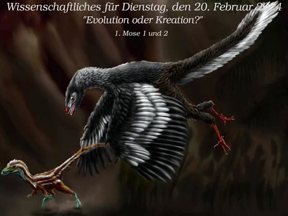 Wissenschaftliches für Dienstag, den 20. Februar 2024;  Text aus: "Die Bibel verstehen" von Ch. Ryrie, Ss.210,211