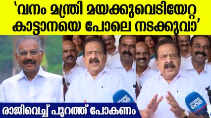 'വനം വകുപ്പ് ഒരു നടപടിയും സ്വീകരിക്കുന്നില്ല ഗുരുതരമായ അനാസ്ഥ'|Ramesh Chennithala