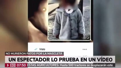 El bulo del pato: se desmonta la campaña de odio de la izquierda contra la mascletá en Madrid