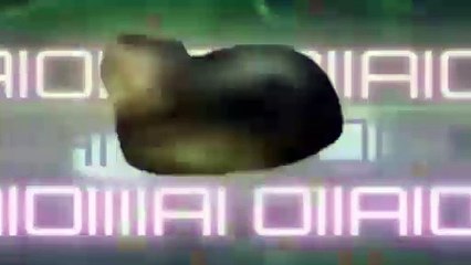 OIIAOIIA Extended: Cat Music 🎶