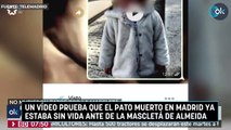 Un vídeo prueba que el pato muerto en Madrid ya estaba sin vida ante de la mascletá de Almeida