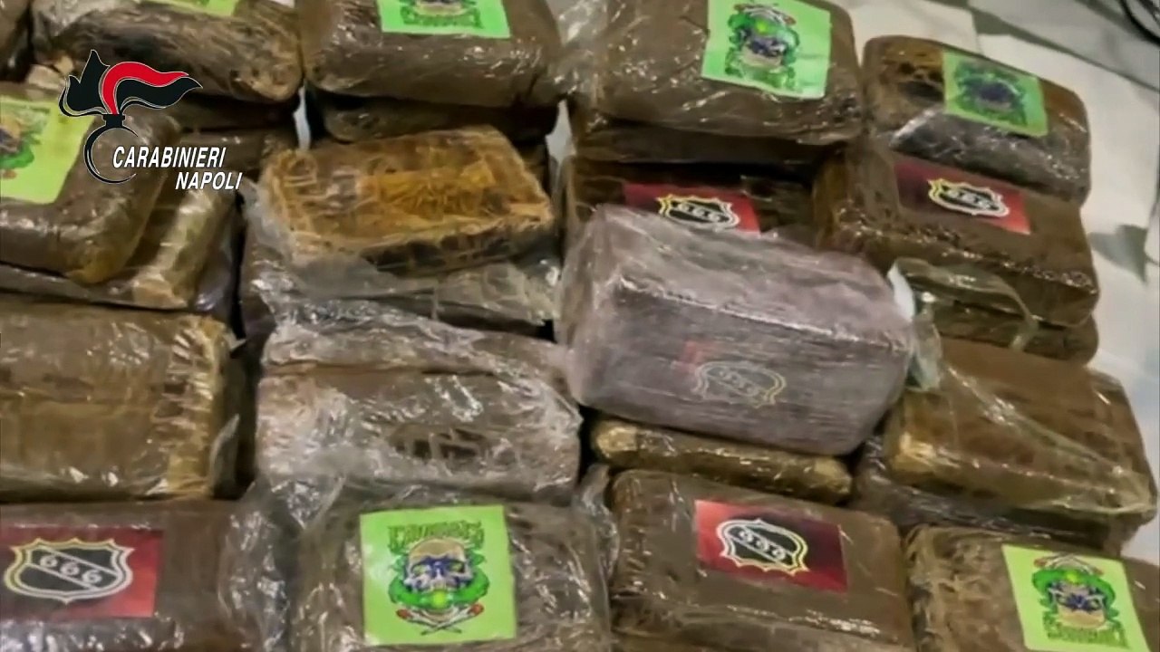Arpino di Casoria, 60 hashish e marijuana in casa: droga anche in frigorifero