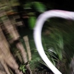 -Jacobo Shemaria Capuano- Impacto de las redes sociales en la sociedad: (Parte 1) (Creado por @JacoboShemariaCapuano)